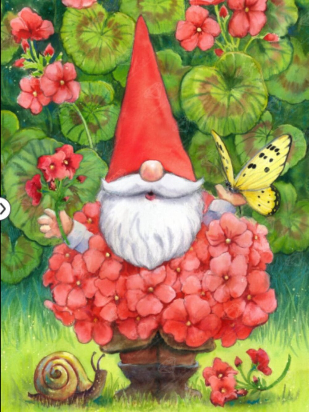 DAC | Geranium Gnome 13"x20"